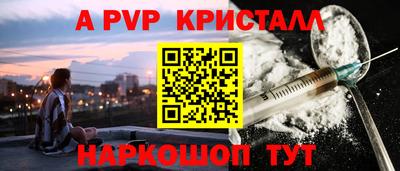 индика Можга