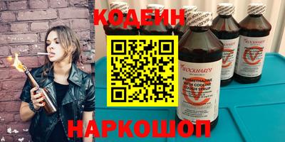индика Можга