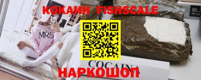 индика Можга