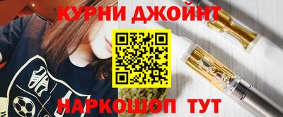 индика Можга