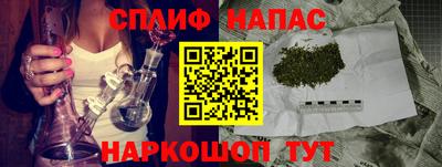индика Можга
