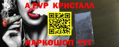 индика Можга