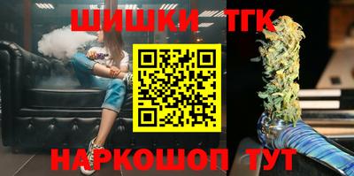 индика Можга
