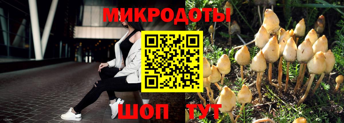 Галлюциногенные грибы прущие грибы Чебоксары
