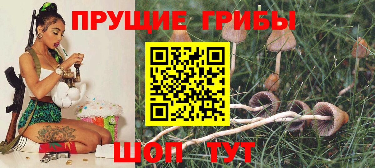 Псилоцибиновые грибы Cubensis  Псилоцибиновые грибы мицелий  продажа наркотиков  Чебоксары  Вход с VPN 